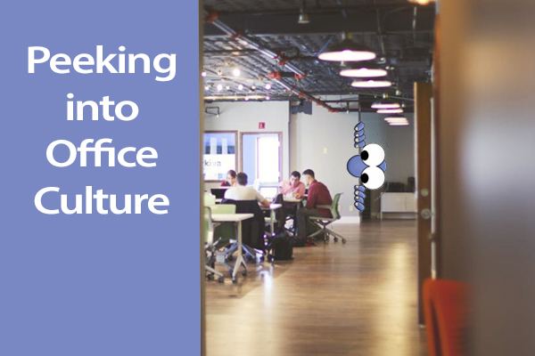 Peeking-into-Office-Culture