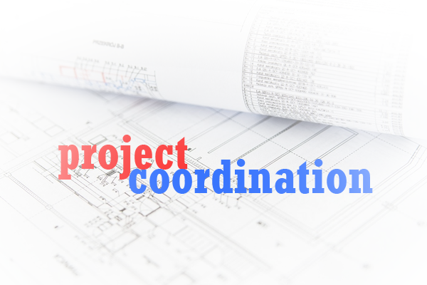 Project Coordination copy